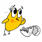 Logo - Kuřátko, s.r.o.